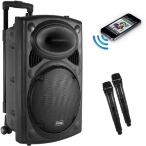 Speakers & Microphone
