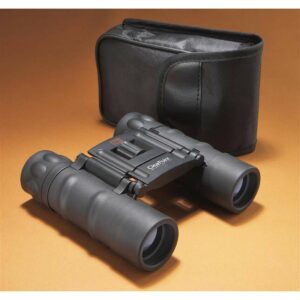 CLEAR POINT Small Mini Binoculars Compact Folding Telescope 8X21